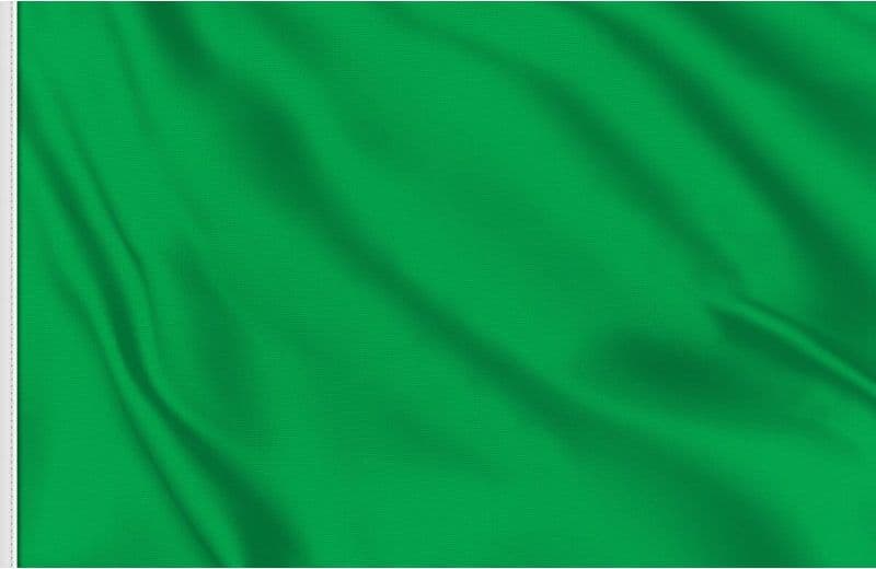 Bandiera Verde Cm.40X60 in Bandiere Ebricowill - Palermo, commercioVirtuoso.it