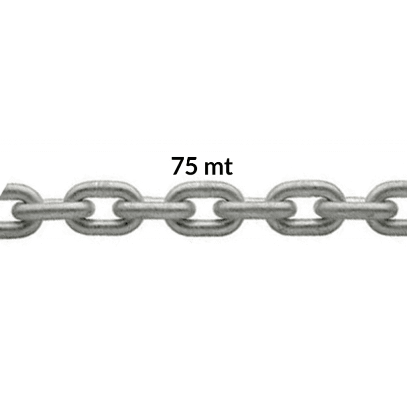 Catena Zinc. Calibrata Ø Mm.12X75Mt in Catene Ebricowill - Palermo, commercioVirtuoso.it