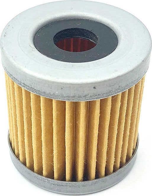 Filtro Benzina Rec16911-Zy3-010 in Filtri carburante Ebricowill - Palermo, commercioVirtuoso.it