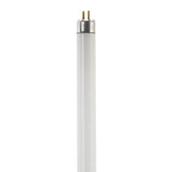 Neon Lineare 21W Slim 6500K L/Fredda in Plafoniere Ebricowill - Palermo, commercioVirtuoso.it