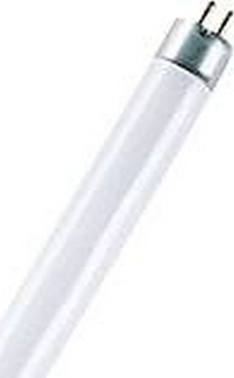 Neon Lineare Cm.120 36W Luce Fredda K6500 in Lampadine fluorescenti e al neon Ebricowill - Palermo, commercioVirtuoso.it