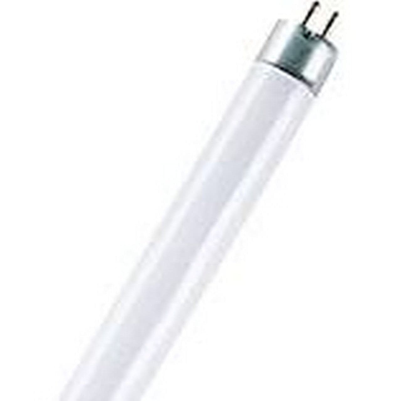 Neon Lineare Cm.120 36W Luce Fredda K6500 in Lampadine fluorescenti e al neon Ebricowill - Palermo, commercioVirtuoso.it