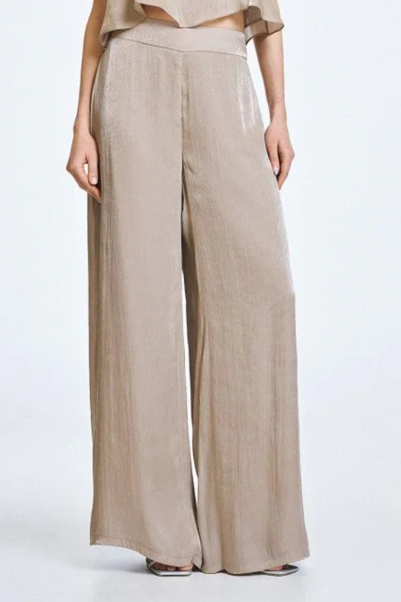 Pantalone palazzo lucido | ACCESS FASHION