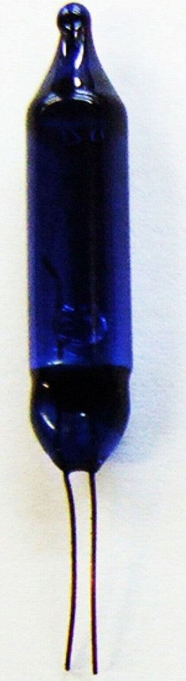 Pisellini 24V Colore Blu Pz 5 in Vegetali Ebricowill - Palermo, commercioVirtuoso.it