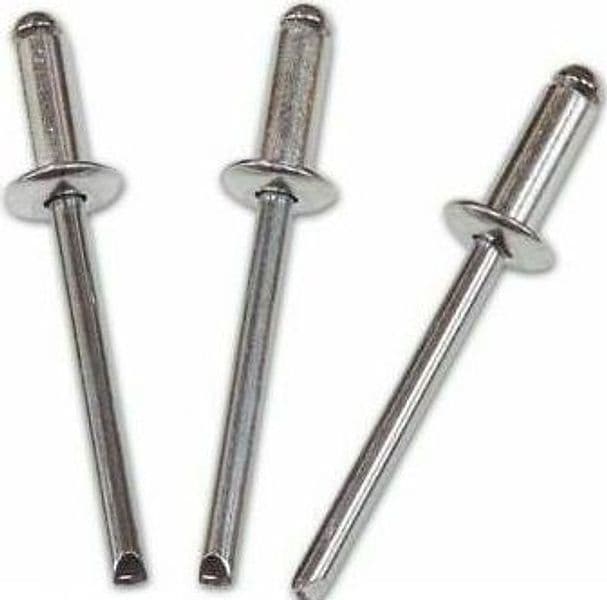 Rivetti Inox A2 Mm.4,8X12 Pz.500 in Dadi per rivetti Ebricowill - Palermo, commercioVirtuoso.it