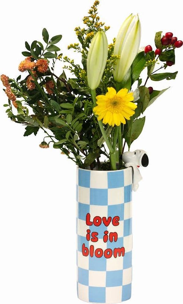 Vaso in ceramica con decorazione Peanuts Licensing Blu in Autocategorizzazione Più Di Più Ideas - Casalnuovo di Napoli, commercioVirtuoso.it