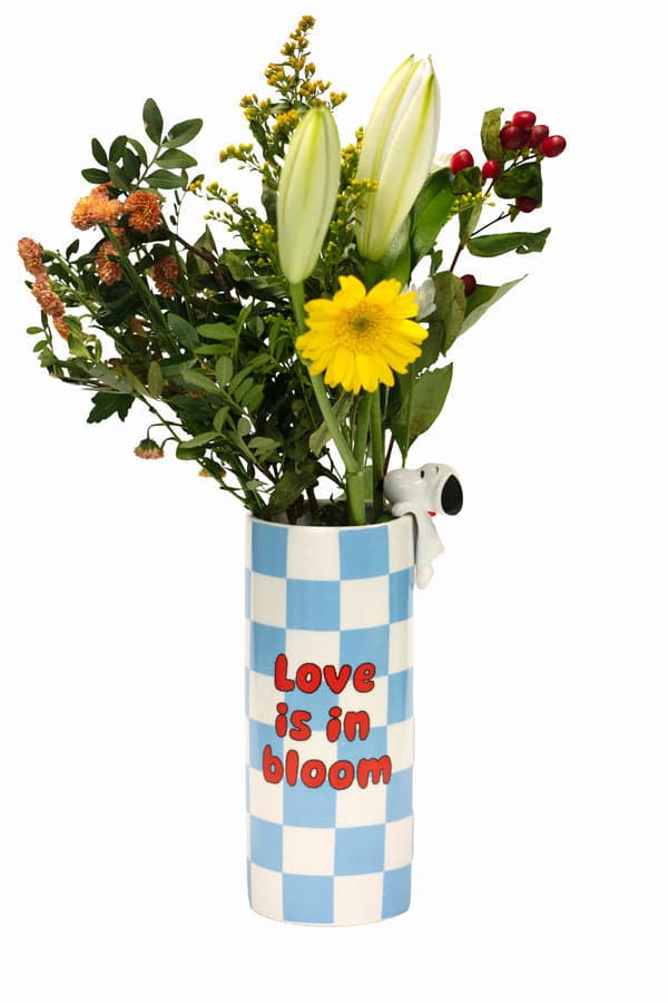 Vaso in ceramica con decorazione Peanuts Licensing Blu in Autocategorizzazione Più Di Più Ideas - Casalnuovo di Napoli, commercioVirtuoso.it