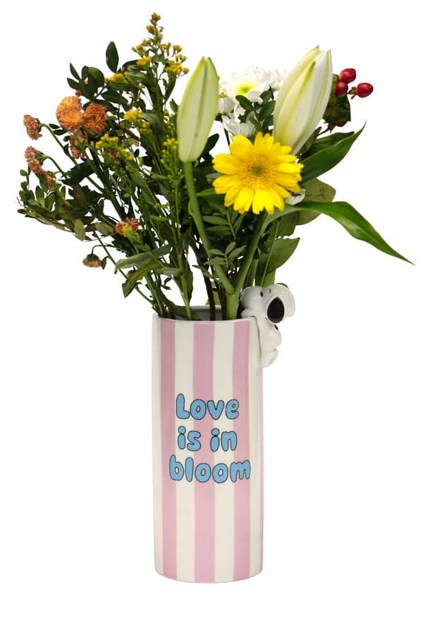 Vaso in ceramica con decorazione Peanuts Licensing Purple in Autocategorizzazione Più Di Più Ideas - Casalnuovo di Napoli, commercioVirtuoso.it