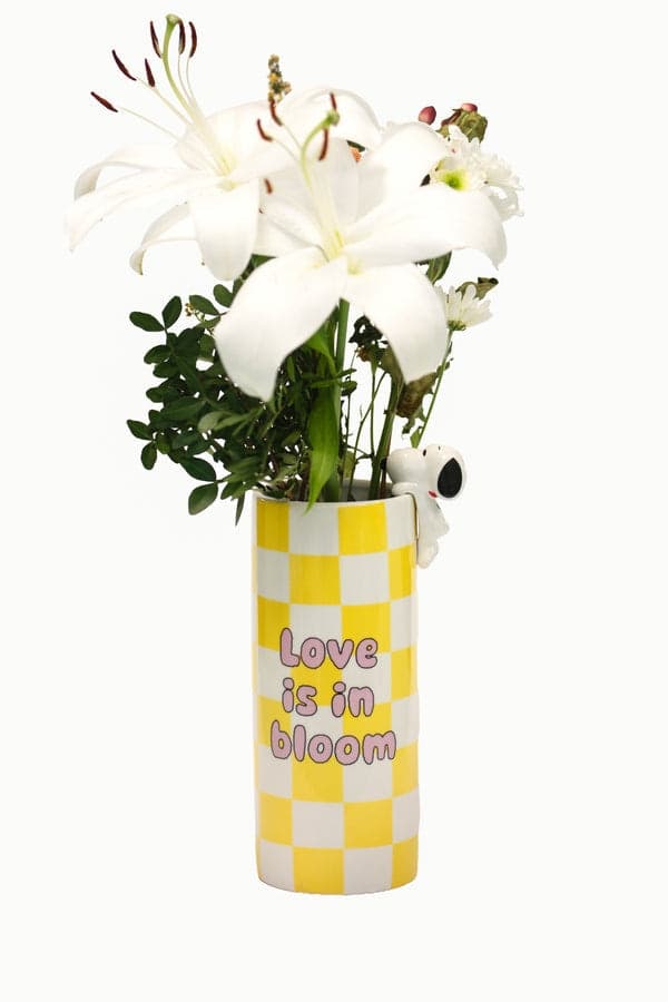Vaso in ceramica con decorazione Peanuts Yellow in Autocategorizzazione Più Di Più Ideas - Casalnuovo di Napoli, commercioVirtuoso.it