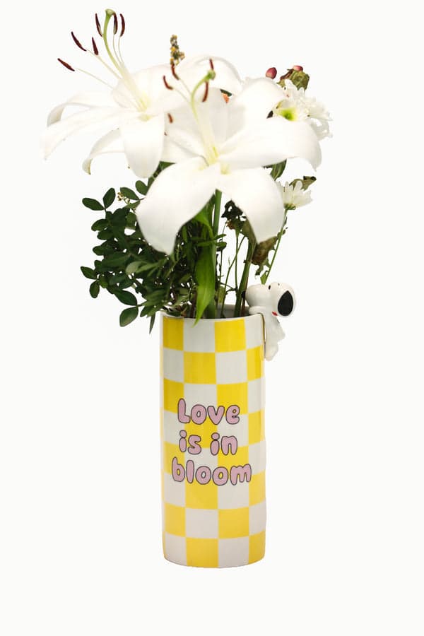 Vaso in ceramica con decorazione Peanuts Yellow in Autocategorizzazione Più Di Più Ideas - Casalnuovo di Napoli, commercioVirtuoso.it