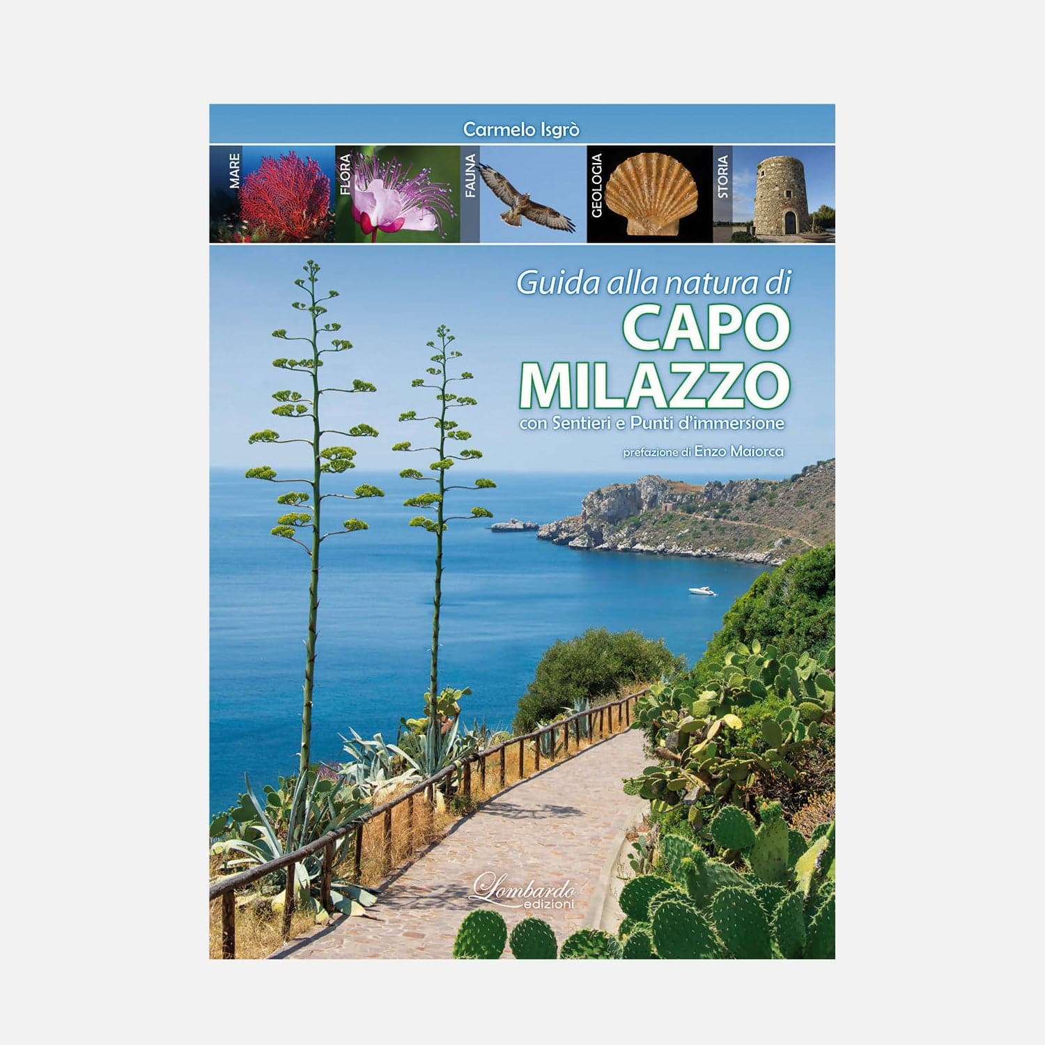 Libri Viaggi