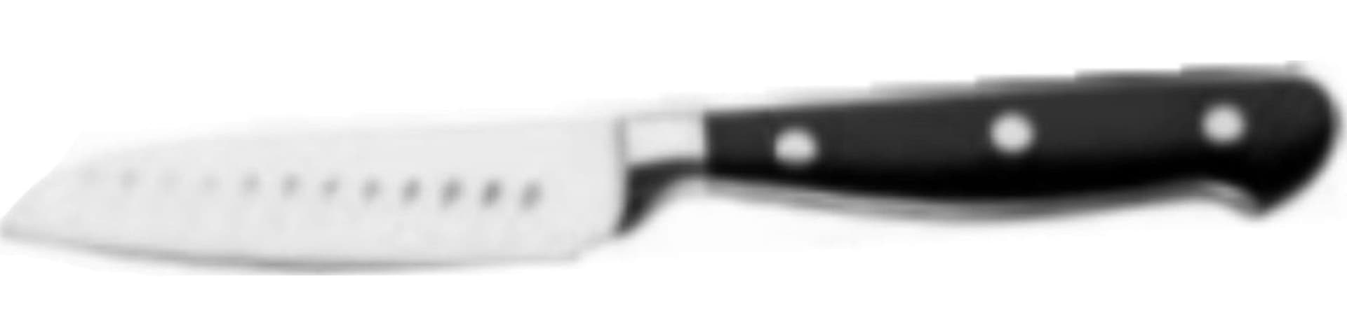 ABERT---COLTELLO-PROFESSIONALE-FORGIATO---PER-FRUTTA---LAMA-8,8CM