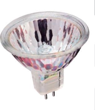 Accessorio Lampadina Dicroica GU5,3 40W in Lampadine alogene Brilla Luce - Sarzana, commercioVirtuoso.it