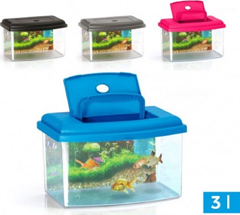 Acquario Rettangolare In Plastica Rigida 3 Litri Con Coperchio 22 X 16 X 14 Cm Prodotti per animali > Prodotti per Acquari > Acquari e Terrari Trade Shop italia - Napoli, Commerciovirtuoso.it