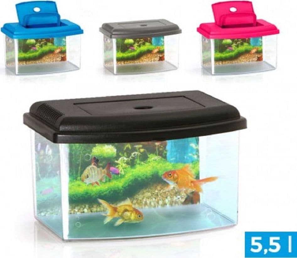 Acquario Rettangolare In Plastica Rigida 5,5 Lt Con Coperchio 28 X 20 X 17 Cm Prodotti per animali > Prodotti per Acquari > Acquari e Terrari Trade Shop italia - Napoli, Commerciovirtuoso.it