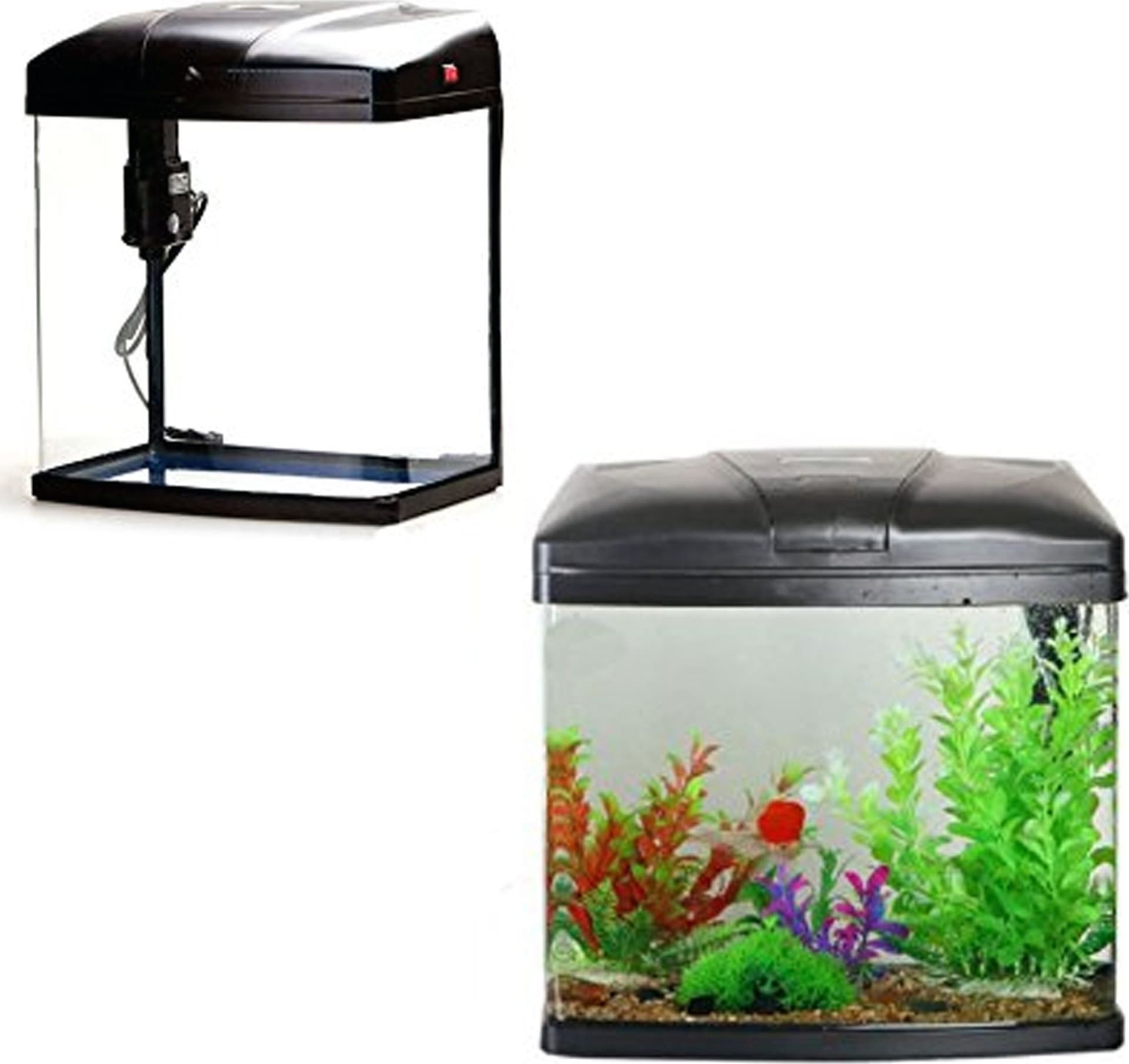 ACQUARIO TERRARIO 35 LITRI COMPLETO DI FILTRO E LUCE PER PESCI TROPICALI T-38F