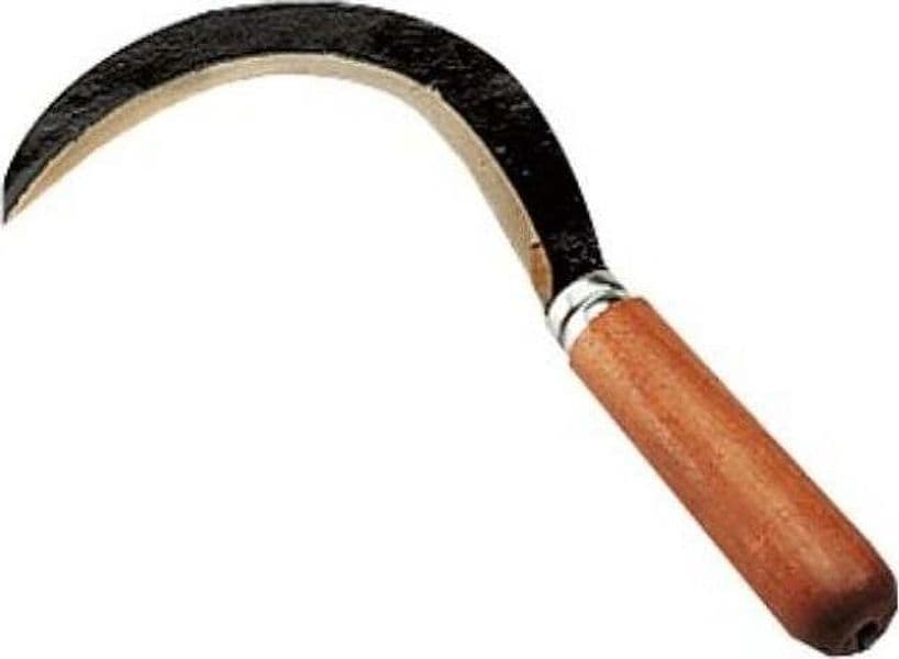 AGEF---RONCOLETTA-PICCOLA