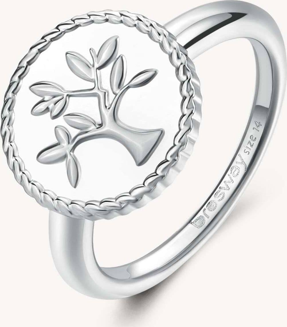 Anello donna BROSWAY BHKR001C in Anelli Gioielleria Cameli - Monte Urano, commercioVirtuoso.it