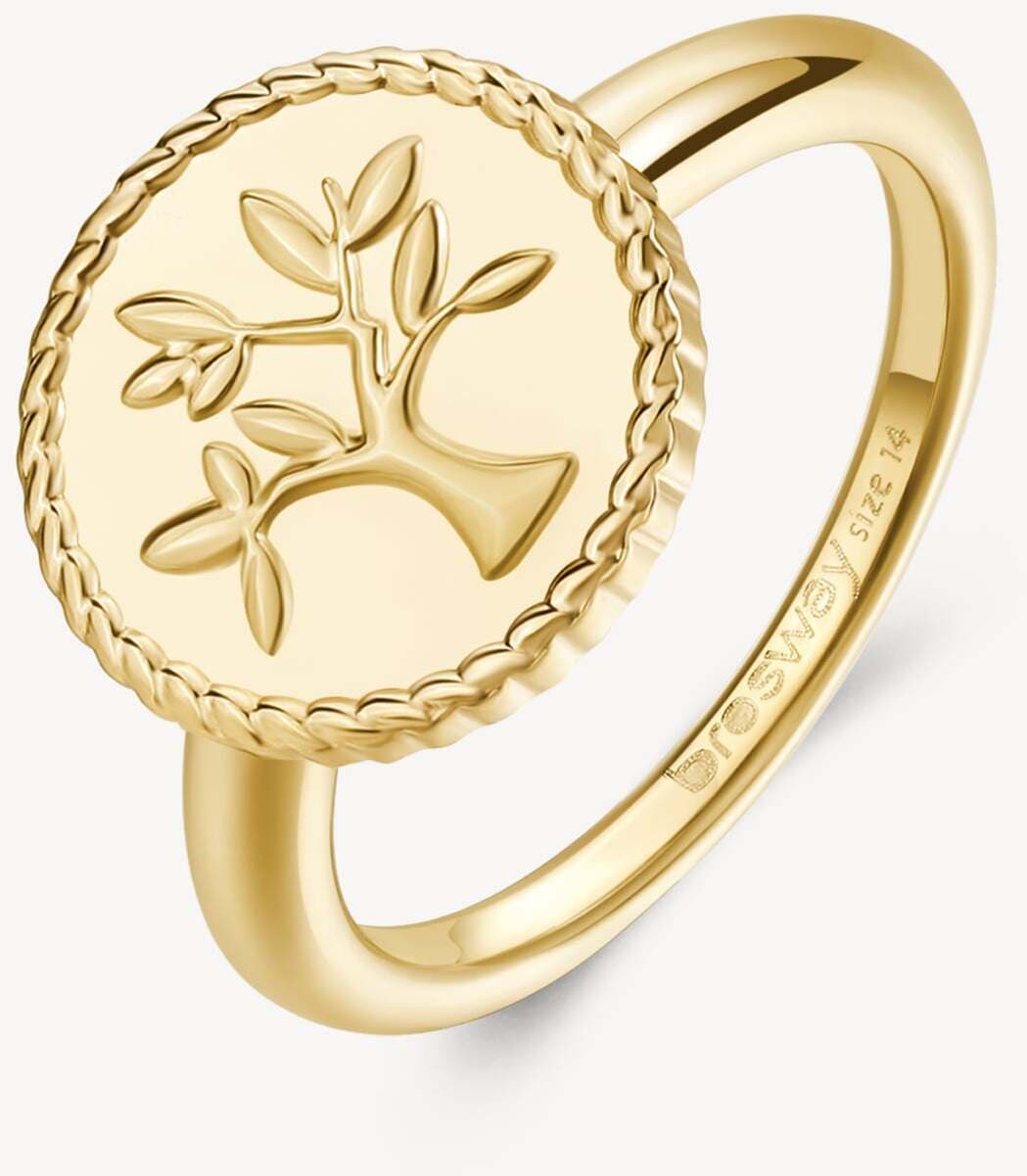 Anello donna BROSWAY BHKR002C in Anelli Gioielleria Cameli - Monte Urano, commercioVirtuoso.it