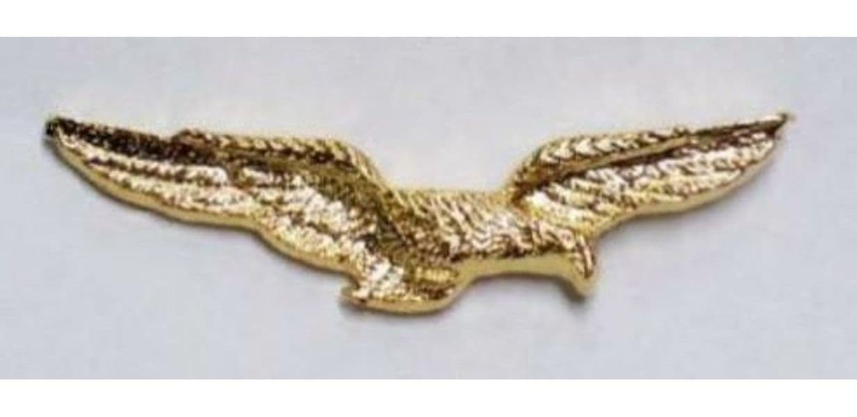 Aquila Pilota Civile Varie Misure Distintivo in Metallo Dorato Chiusura Con Clip Sport e tempo libero/Fan Shop/Cimeli sportivi/Spille e bottoni Il Distintivo - Pesaro, Commerciovirtuoso.it