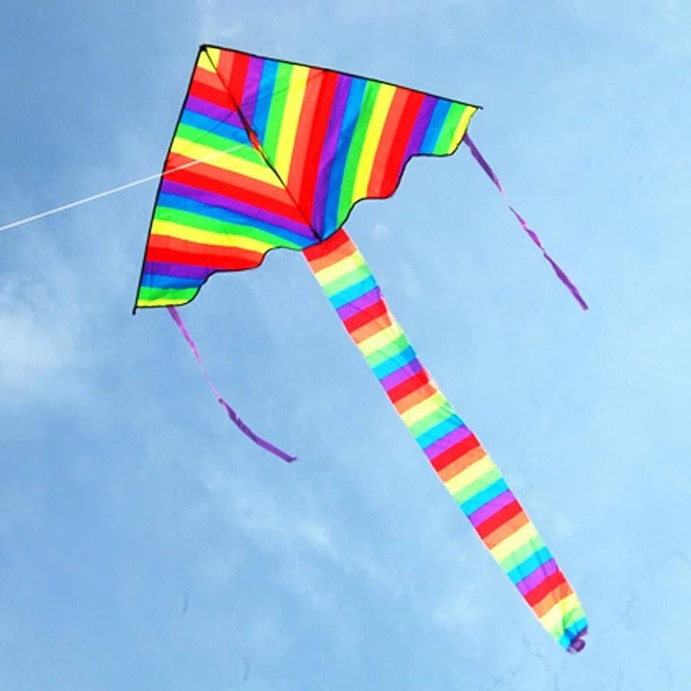 Aquilone Arcobaleno Coda Lunga Gioco Esterno Spiaggia Super Facile Da Pilotare Giochi e giocattoli/Sport e giochi all'aperto/Aquiloni e giochi volanti/Aquiloni Trade Shop italia - Napoli, Commerciovirtuoso.it