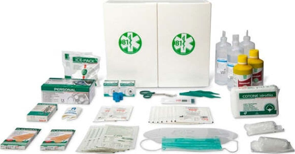 Armadietto di pronto soccorso 102-P - 45x37 5x13 cm - plastica - oltre 3 persone - bianco - PVS Salute e cura della persona/Prodotti per la medicazione/Pronto soccorso/Kit di pronto soccorso/Casa e lavoro Eurocartuccia - Pavullo, Commerciovirtuoso.it