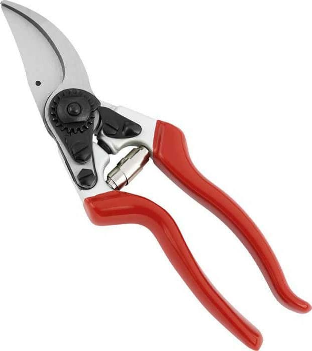 Ausonia - 31035 Forbice Vigna Forbice Da Potatura Professionale Frutteti Da 21 Cm Per Mancini in Forbici e cesoie per potatura Ausonia - Maniago, commercioVirtuoso.it