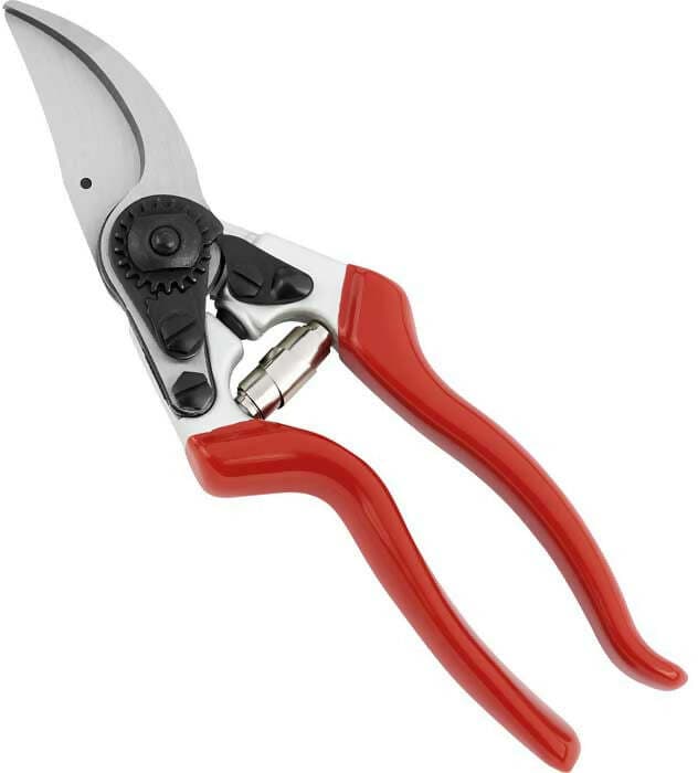 Ausonia - 31035 Forbice Vigna Forbice Da Potatura Professionale Frutteti Da 21 Cm Per Mancini in Forbici e cesoie per potatura Ausonia - Maniago, commercioVirtuoso.it