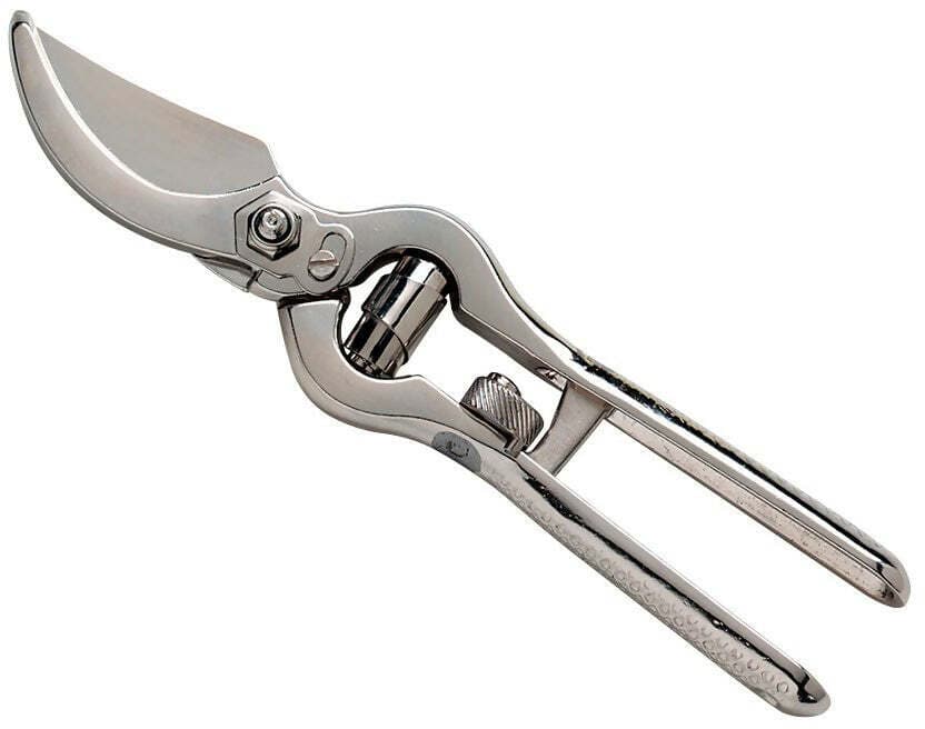 Ausonia - 31165 Forbice Vigna Potatura Vigneti Professionale Con Spalla Lucida Nichelata Cm 21 Made In Italy in Forbici e cesoie per potatura Ausonia - Maniago, commercioVirtuoso.it