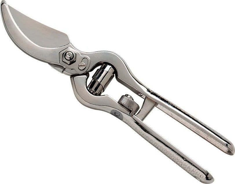 Ausonia - 31168 Forbice Vigna Potatura Vigneti Professionale Con Spalla Lucida Nichelata Cm 25 Made In Italy in Forbici e cesoie per potatura Ausonia - Maniago, commercioVirtuoso.it