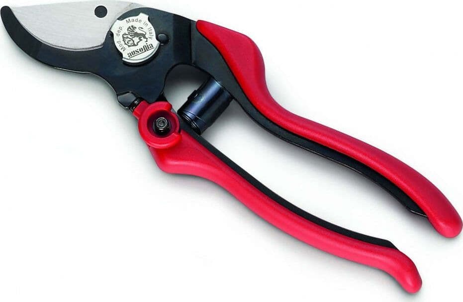 AUSONIA- 31082 FORBICE DA VIGNA PROFESSIONALE MADE IN ITALY CON LAMA DI QUALITA', MANICO INTERCAMBIABILE IN PLASTICA E BLOCCO DI CHIUSURA in Forbici e cesoie per potatura Ausonia - Maniago, commercioVirtuoso.it