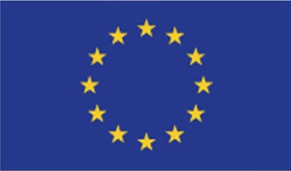 Bandiera Europa - poliestere nautico - 100x150 cm Fai da te/Sicurezza e protezione/Attrezzature per sicurezza sul lavoro/Segnaletica antinfortunistica Eurocartuccia - Pavullo, Commerciovirtuoso.it