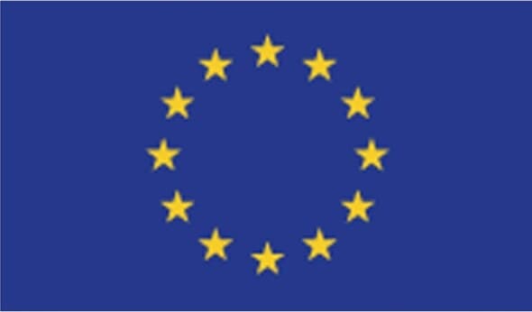Bandiera Europa - poliestere nautico - 100x150 cm Fai da te/Sicurezza e protezione/Attrezzature per sicurezza sul lavoro/Segnaletica antinfortunistica Eurocartuccia - Pavullo, Commerciovirtuoso.it