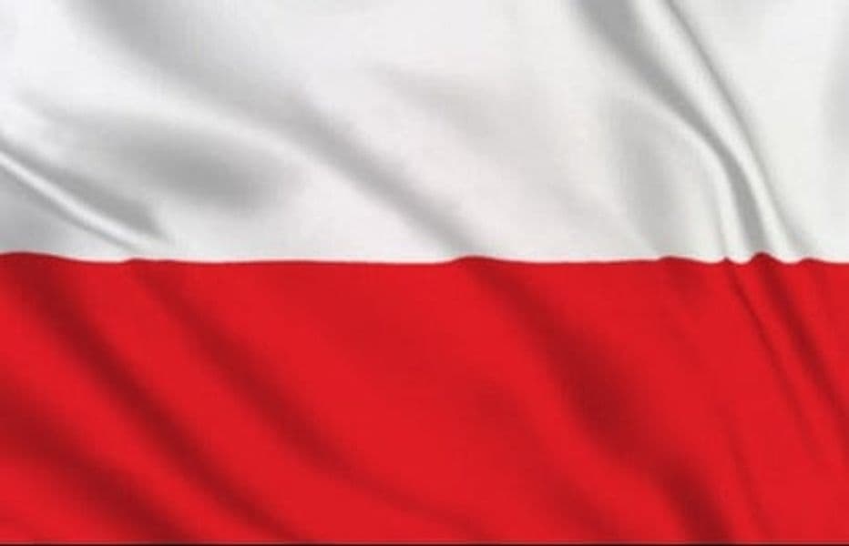 Bandiera Polonia 100 X 150 Cm, Polska Flaga Laccetti Laterali O Fodero Per Asta Bandiera Polonia, Bandiere Premium, Impermeabile, Interno, Esterno Sport e tempo libero/Fan Shop/Patio prato e giardino/Bandiere per esterno Il Distintivo - Pesaro, Commerciovirtuoso.it