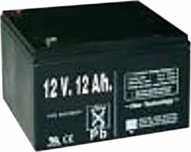Batteria ricaricabile per elettrificatore 12V 12Ah in Pacchi batterie GardenStore - Novellara, commercioVirtuoso.it
