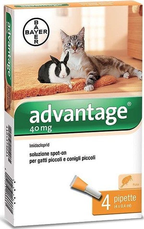 Bayer Advantage Spot On 40 Gatti Fino A Kg.4 Advantage Spot On 4 Pipette Per Gatti E Conigli Fino A 4 Kg Baye Prodotti per animali domestici/Gatti/Antiparassitari/Pipette antiparassitario Ferus - Montoro, Commerciovirtuoso.it
