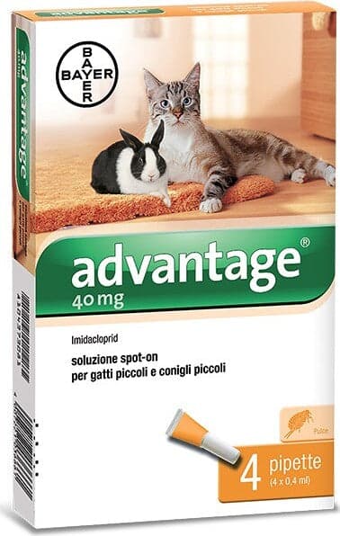 Bayer Advantage Spot On 40 Gatti Fino A Kg.4 Advantage Spot On 4 Pipette Per Gatti E Conigli Fino A 4 Kg Baye Prodotti per animali domestici/Gatti/Antiparassitari/Pipette antiparassitario Ferus - Montoro, Commerciovirtuoso.it