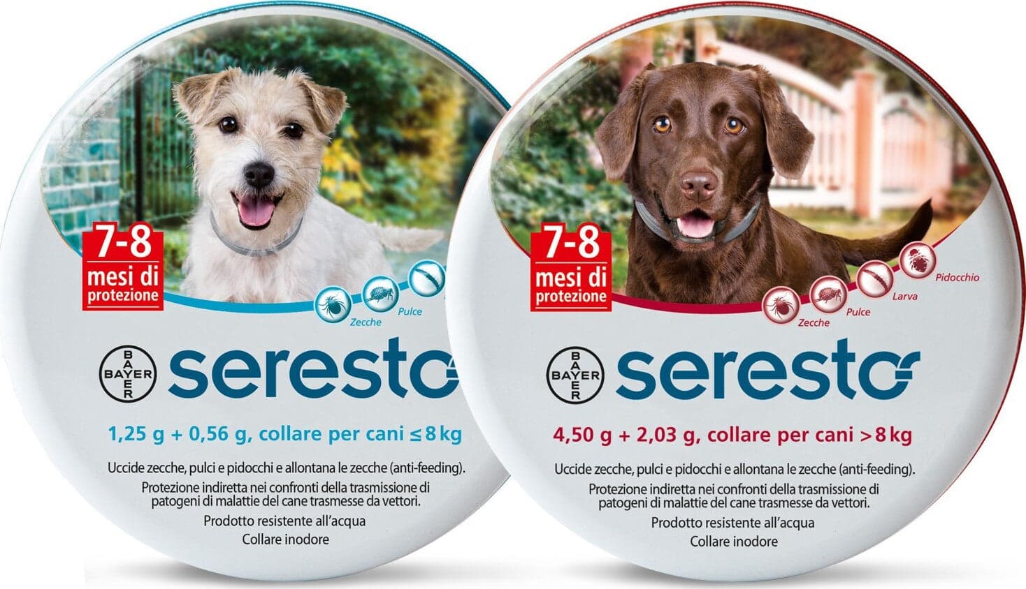 Bayer Collare Cane Seresto Fino A 8 Kg Collare Anti Parassitario Protezione Pulci E Zecche Per Cani Bayer Collare Cane Seresto < 8 Kg Prodotti per animali domestici/Cani/Antiparassitari/Collari antiparassitari Ferus - Montoro, Commerciovirtuoso.it