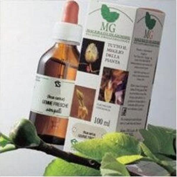 BETULLA-SEMI-Macerato-Glicerico-100-ml-Sangalli