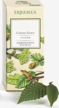 BETULLA-VERRUCOSA-Linfa-Gemmoderivato-50-ml-Erbamea