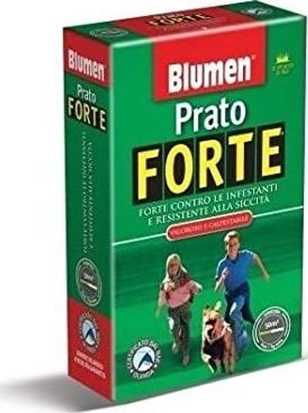 BLUMEN---SCATOLA-DA-500g---PRATO-FORTE---VIGOROSO-E-CALPESTABILE