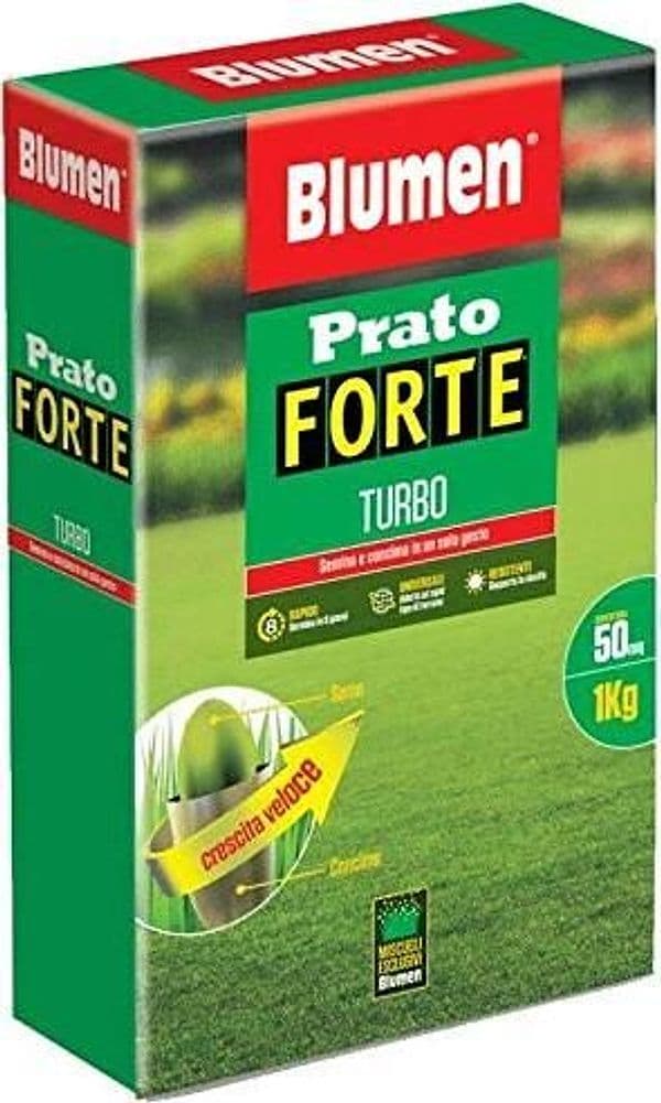 Blumen-Prato-Forte-Turbo---Sementi