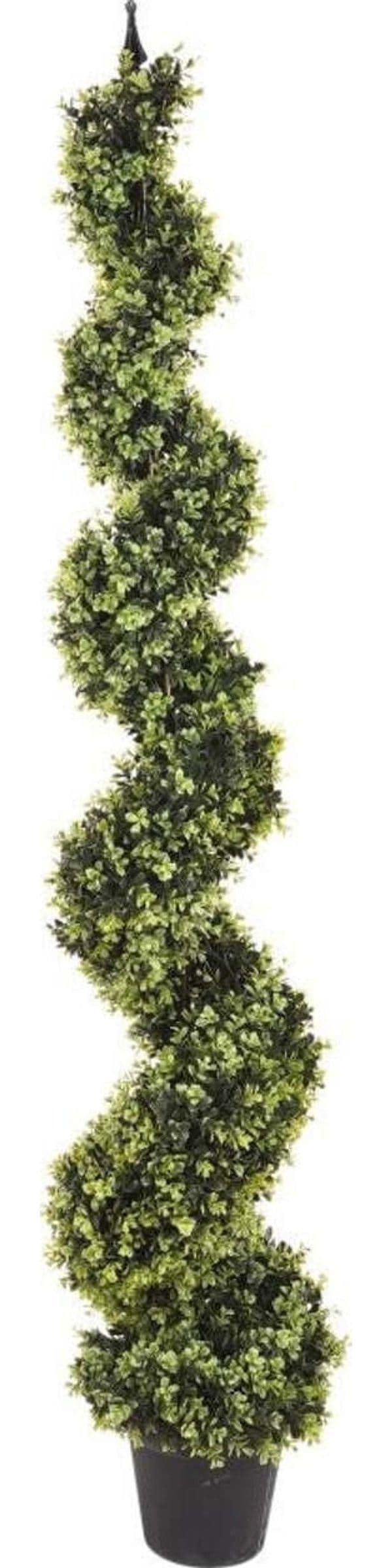 Bossolo Spirale H.180 Cm C/vaso Giardino e giardinaggio/Piante semi e bulbi/Piante da interno/Alberi Loft Uno di Casa - Catania, Commerciovirtuoso.it