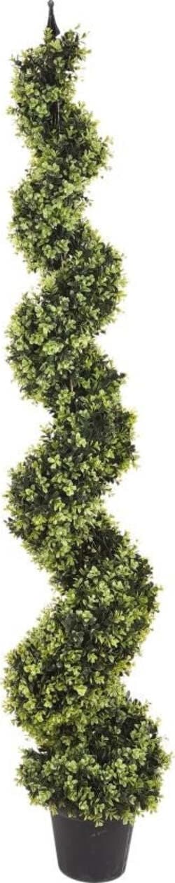 Bossolo Spirale H.180 Cm C/vaso Giardino e giardinaggio/Piante semi e bulbi/Piante da interno/Alberi Loft Uno di Casa - Catania, Commerciovirtuoso.it