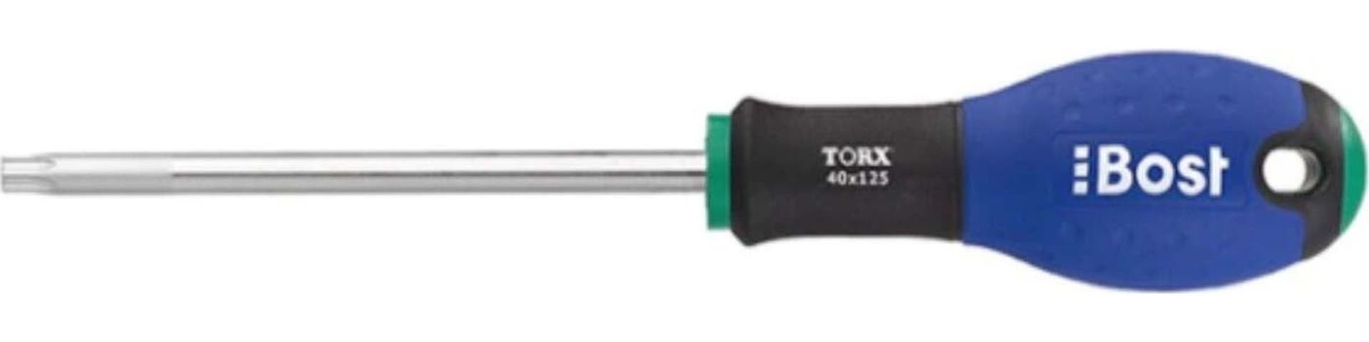 BOST---CACCIAVITE-TORX-T20X100