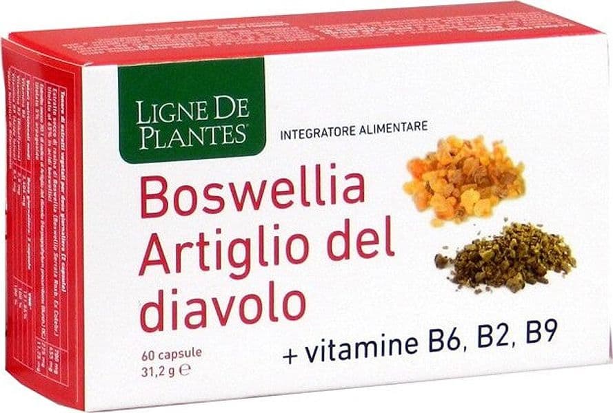 BOSWELLIA-ARTIGLIO-DIAVOLO-VITAMINE-B2-B6-B9-60-CAPSULE