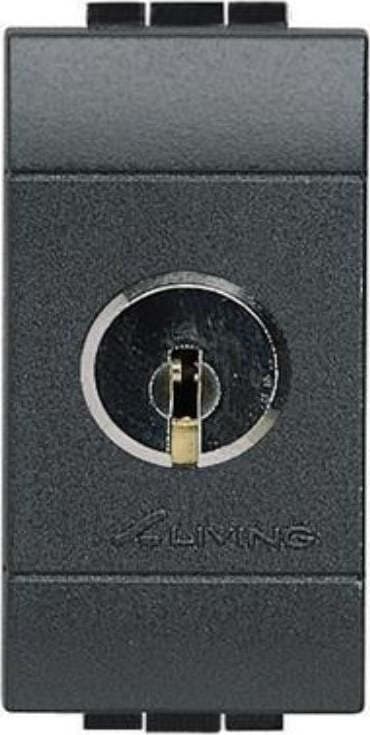 BTICINO---INTERRUTTORE-BIPOLARE-CON-CHIAVE-2P-16AX-250-Vac