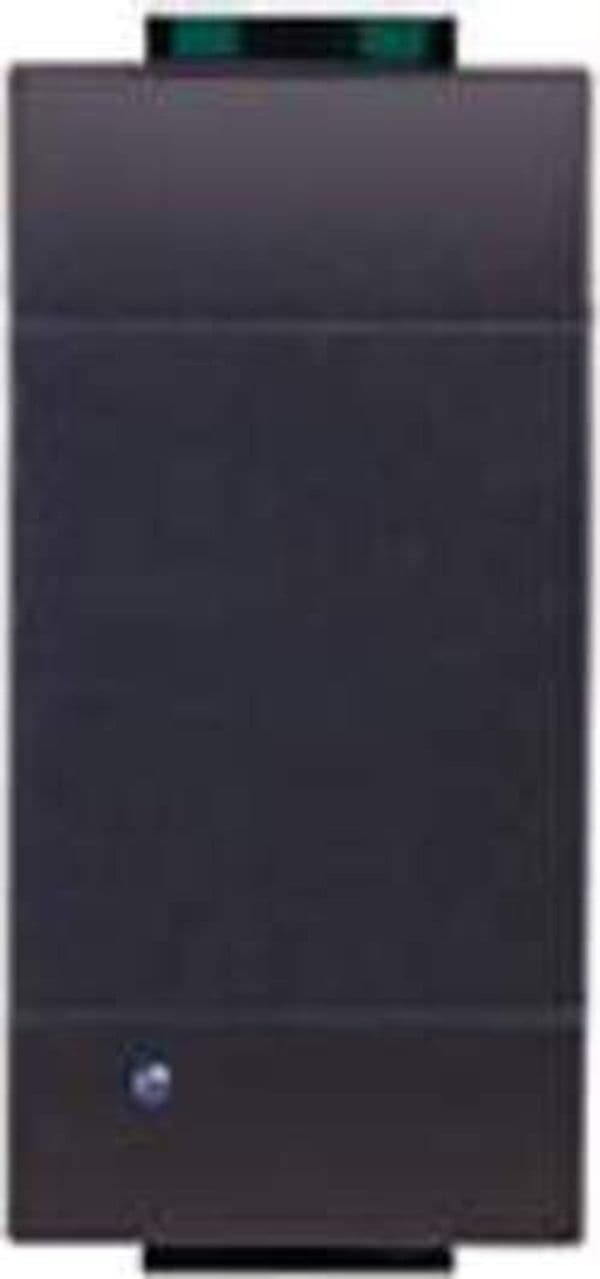 BTICINO-LIVING---SCS-INTERFACCIA-2-INGRESSI-L4688