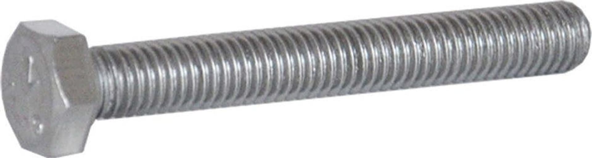 BULLONE-TESTA-ESAGONALE-INOX-A2-8-x-30-Spinelli-Srl