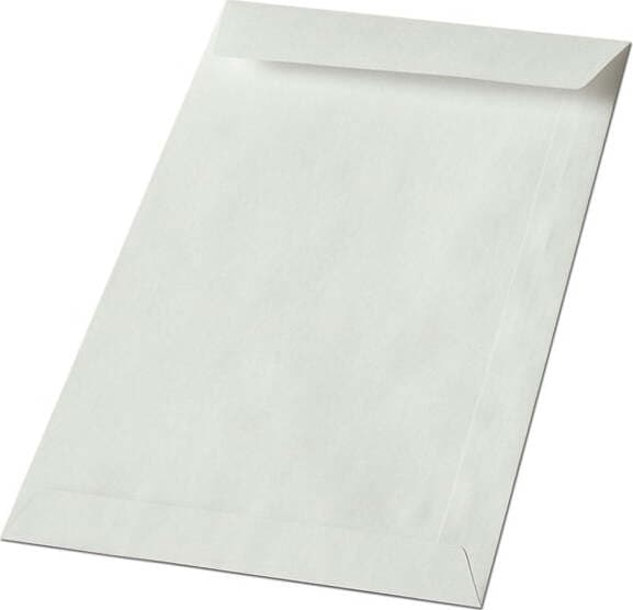 Busta a sacco bianca - lembo non gommato - 80x120 mm - 50 gr - Blasetti - conf. 2000 pezzi Commercio Industria e Scienza/Forniture per imballaggio e spedizione/Scatole buste e tubi per spedizione/Buste per spedizione/Buste imbottite Eurocartuccia - Pavullo, Commerciovirtuoso.it
